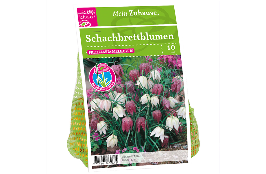 Blumenzwiebelzauber im Frühjahr